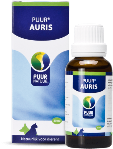 Puur auris