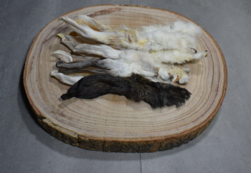 Schermafbeelding 2022 11 01 om 152519